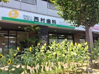 ひまわりー１