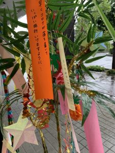 8CC2E9F5-2A34-4E5A-AD59-F58AD06CE58F