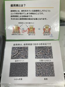 EDB87C1B-69D0-4C04-B570-8E408C885035