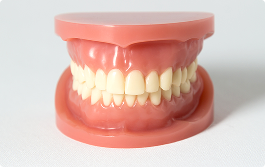 調整用入れ歯の製作（自費） イメージ画像