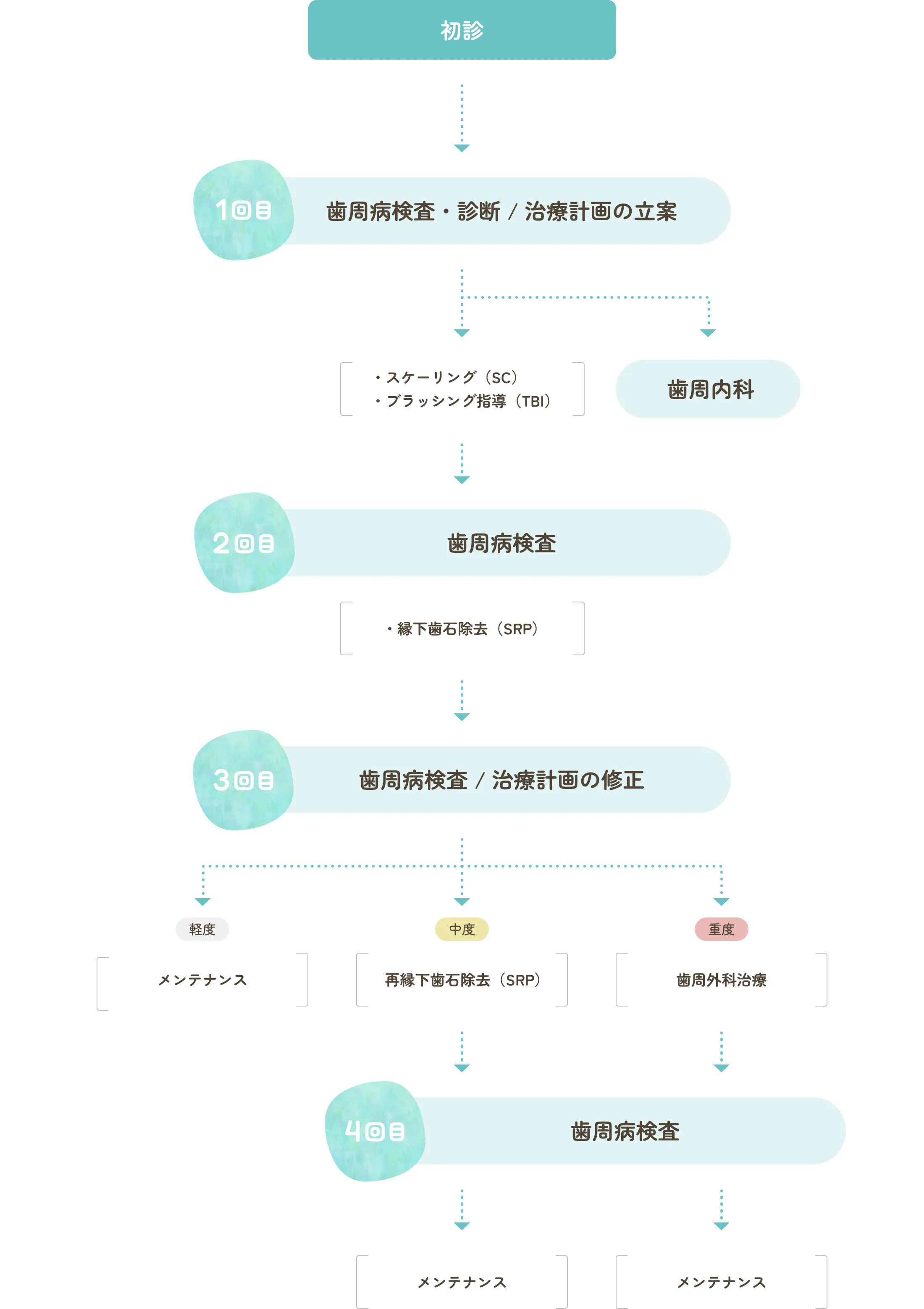 歯周病治療の流れ