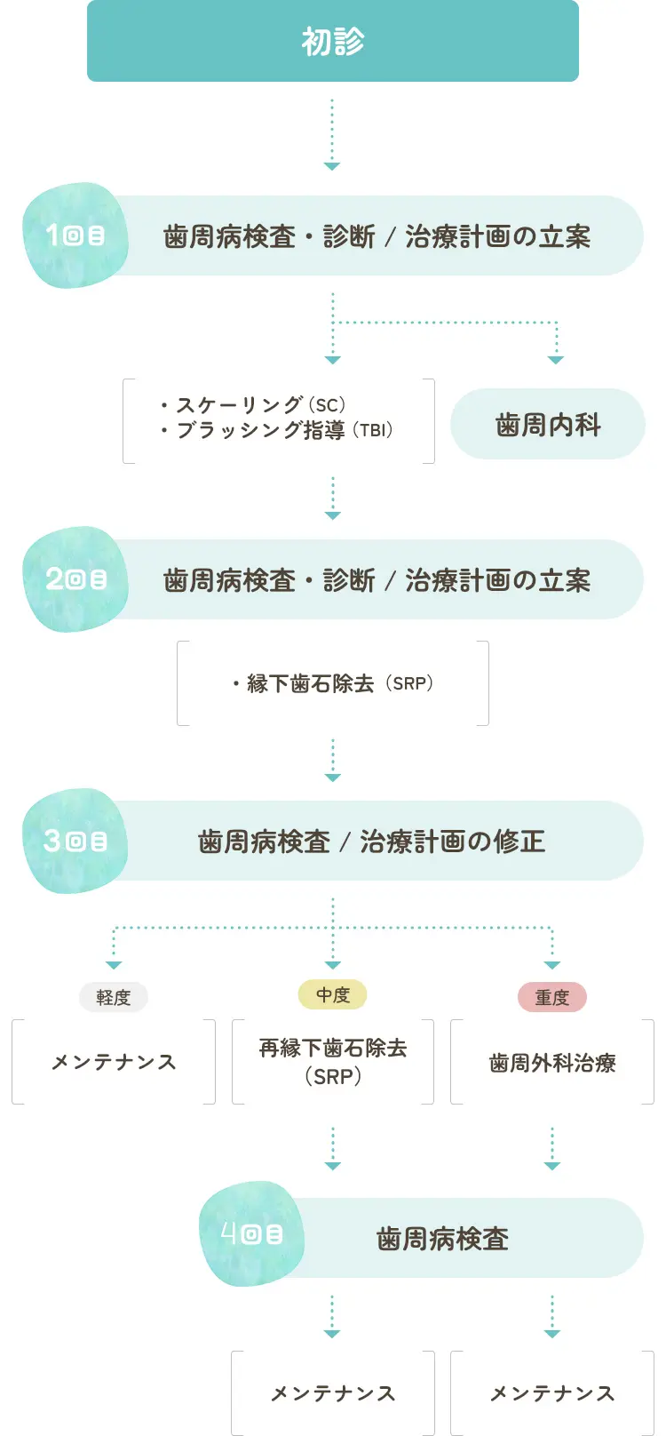 歯周病治療の流れ